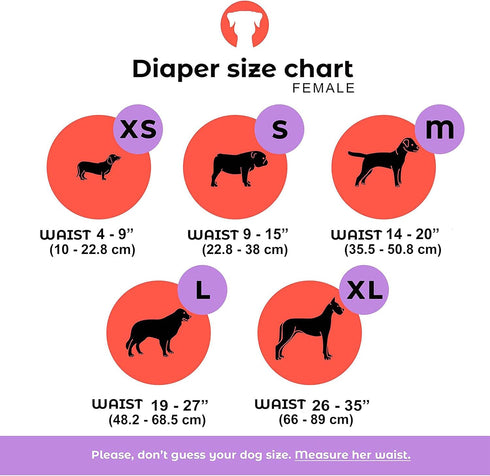 3 Pack Set PETTING IS CARING Dog Diapers Washable & Reusable Female and Male Dog Diapers Materials Durable Machine