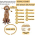 Cuban Link Dog Collar, Gold Silver Color Metal Chain Collar for Dogs Cats, 22 Inch, Gold