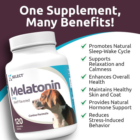 K9 Select Melatonin for Dogs, Composure Dog Calming Chews, 3 mg, 120 Beef Flavored Chewable Tablets