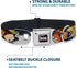 Dog Collar Seatbelt Buckle Nick 90s Rewind - Navy Blue, 11 to 17 Inches, 1.0 Inch Wide