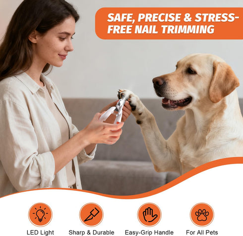 '-1.76oz (2-Pack) PAW PLANET Styptic Powder for Dogs & Cats Fast Acting Blood Stop Powder for Nail Clipping, Minor Cuts
