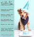 Biscuit Company Blue Dog Birthday Baby Cake - Crunchy Biscuit Texture, Natural Gourmet Pet Treat, 3 Inch