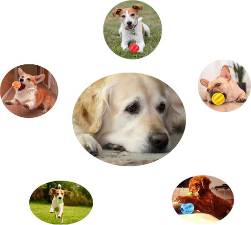 2 Pack Dog Toy Ball, Nontoxic Bite Resistant Teething Toys for Small/Medium/Large Dogs and Puppies, Chew Tooth Cleaning