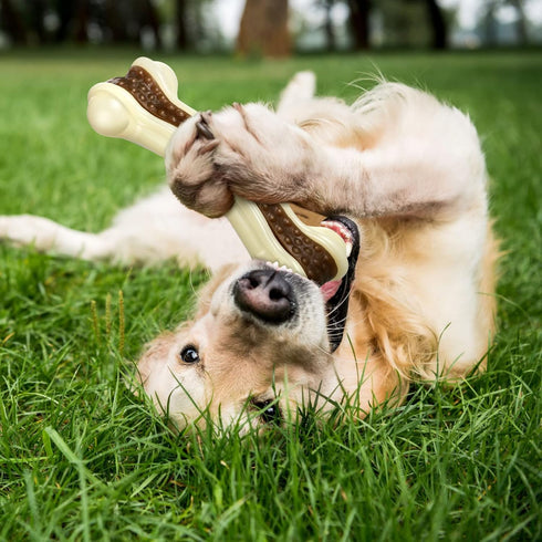 Sosation Chew Toys for Aggressive Chewers - Large Breed Beef Flavor Durable Nylon Bones for Puppies.