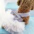 Fashion Pet Dog Dresses, Striped Mesh Puppy Clothes (Blue, X-Small)