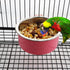 2 Pack Pet Food Water Bowl Combo - Plastic Basin and Stainless Steel Dish for Rabbit, Chinchilla, Hamster, Bird, and