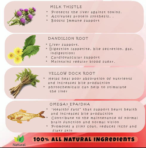 Milk Thistle for Dogs, 180 Chewable Tablets, Canine Liver and Kidney Support Supplement, Detox for Dogs