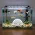 Alrhso 2 Pack Shrimp Hides for Aquarium Shrimp Dome Hide Fish Tank Porous Cave Shelter Hideout Ornament Tunnel Cave