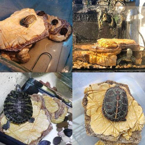 kathson Resin Basking Platform for Turtles, Tortoise Climbing Ramp, Reptile Hides, Aquarium Decorations for Lizards
