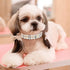 Pearl Dog Collar & Cat Collar, PU Leather Girls Necklace with Crystal Rhinestone for Female Puppy Kitten XS S Medium