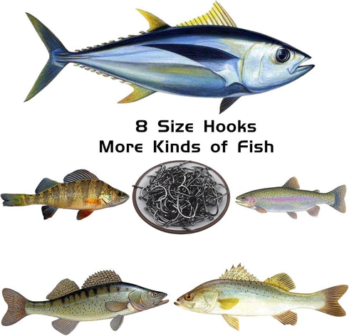 Fishing Hooks Bulk Set for Freshwater Saltwater Fish, Worm Catfish Hooks Fishing Gear Equipment Supplies