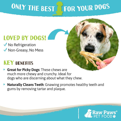 Raw Paws Dried Chicken Feet Dog Treats, 10 Pack - 100% Digestible, Natural Smoked, Made in USA