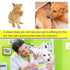 Cat & Dog Grooming Set - Fine Tooth Comb for Grooming, Removing Dandruff Flakes, Float Hair, Tear Marks (Green)