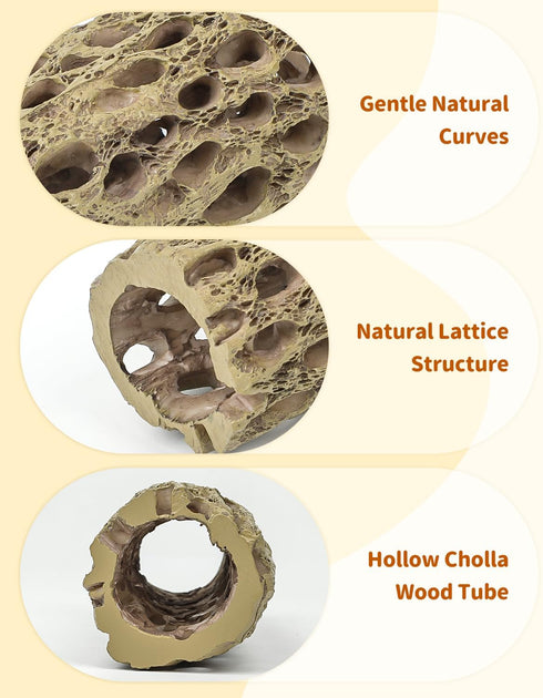 Resting,2pcs Uniclife Shrimp Hides for Aquarium, Shrimp Cave, Realistic Resin Aquarium Hollow Cholla Wood Decorations