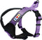 Pawtitas Padded Dog Harness, Reflective Dog Vest for Comfort Control, XS Extra Small Orchid