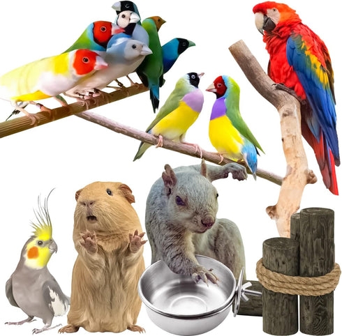 MotBach 3 Pieces Stainless Steel Bird Feeding Dish Cups, Parrot Food Water Bowls with Clamp for Pet Cage