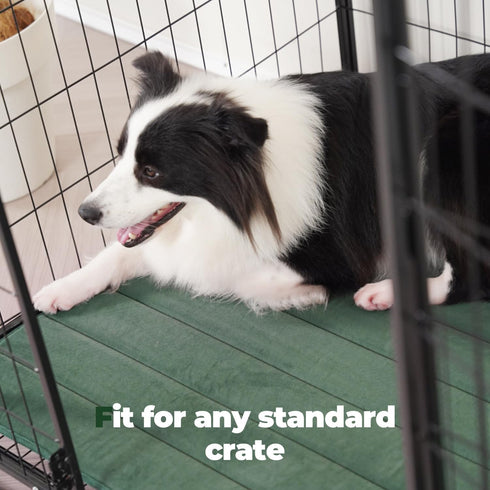 BALANCE Dog Crate Pad, Washable Water-Resistant Foam Mat for X-Large Dogs, Dog Cage Pad