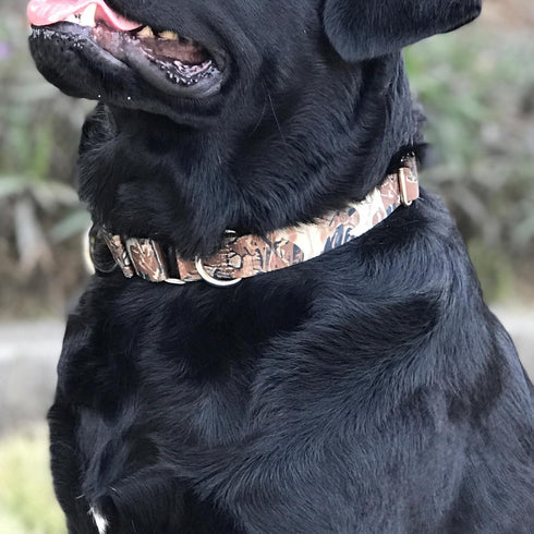 Hyhug Pets Upgraded Escape Proof Martingale Collar for Dogs, Fabulous Collar for Daily Use Walking and Training (Large,