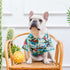 EXPAWLORER Dog Hawaiian Shirt - Breathable Polo T-Shirts with Floral Pattern for Small Medium Large Dogs