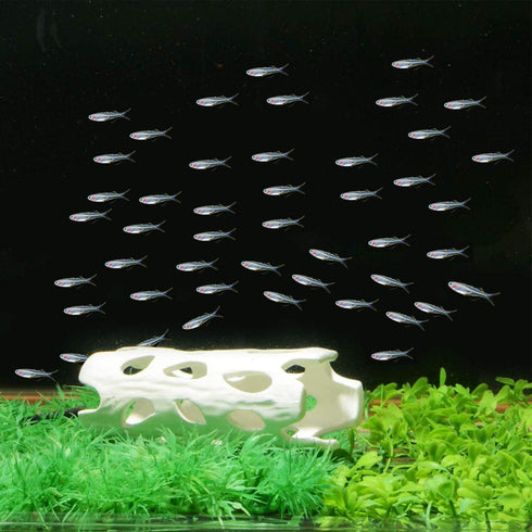 White Aquarium Decor, Shrimp Shelter Tube Breeding Hiding Cave Holes for Fish Tank