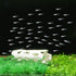 Aquarium Decor Shrimp Shelter Tube Breeding Hiding Cave for Fish Tank Decorations (White)