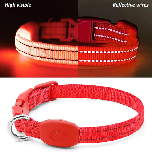 Illumifun Light Up Collar for Small Dogs, USB Rechargeable LED Dog Collar Glow in The Dark, Adjustable Cat Collar Light