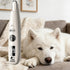 Generic Trimmer Trimmer Dog for Grooming,Quiet Rechargeable Cordless Electric Shaver | Dog Face - for Face Nails Body