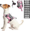 Service Dog Harness and Leash Set, Training Vest with 10 Dog Patches, Emotional Support for Small to XL Dogs