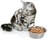DEAYOU 4-Pack Stainless Steel Dog Bowl, Metal Food and Water Dish for Large Medium Small Dogs, Elevated Stand, Kitten,