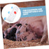 HEMOTON Farm Animal Feeder for Goats and Lambs Multiple Pacifiers Milk Feeding Device Sturdy Pig and Sheep Bottle