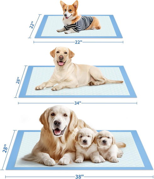 75-Pack 38" 28" 6-Layer Powools XX-Large Puppy Pads - x Pee Pads for Dogs Potty Training with Leak-Proof Quick-Dry