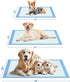75-Pack 38" 28" 6-Layer Powools XX-Large Puppy Pads - x Pee Pads for Dogs Potty Training with Leak-Proof Quick-Dry