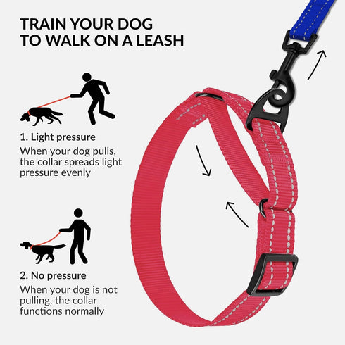 CollarDirect Reflective Martingale Dog Collar, Heavy Duty Nylon Training for Small Medium Large Dogs (S, Neck 11"-15",