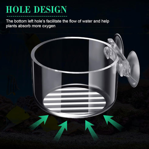 30 Pack Aquatic Plant Cups with Hole, Acrylic Pot with Suction Cups for Fish Tank Plant Holder