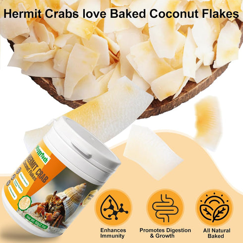WaggyTech 60g Hermit Crab Food - Baked Coconut Treat, Natural Dried Coconut for Crab Healthy & Additive Free, Easily