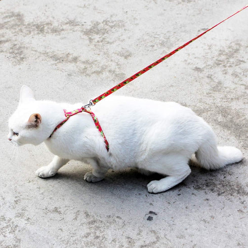 azuza Cat Harness and Leash Set - Escape Proof Adjustable Vest for Walking, Pineapple Design for Small to Large Cats