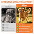 16-in-1 500 Omega-3, Dog Vitamins- Dog Vitamins and Supplements, Ct Multivitamin Supports Daily Energy, Heart Health
