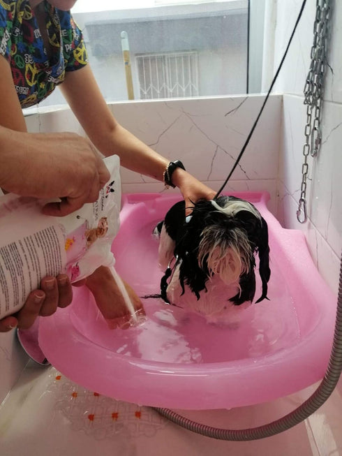 Warren London Cleopatra's Doggy Milk Bath | Luxurious Dog Shampoo & Conditioner with Whole Milk Powder & Honey | 12oz