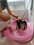 Warren London Cleopatra's Doggy Milk Bath | Luxurious Dog Shampoo & Conditioner with Whole Milk Powder & Honey | 12oz