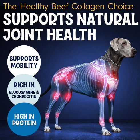 12" 10 Pack Collagen Sticks for Dogs Low Odor Long-Lasting Bully Stick & Rawhide Alternative, Single Ingredient Beef