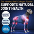 12" 5 Pack Collagen Sticks for Dogs Low Odor Long-Lasting Bully Stick & Rawhide Alternative, Single Ingredient Beef