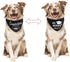Whaline 2 Pack Graduation Dog Bandana, Reversible Triangle Bibs Adjustable Pet Kerchief Scarf for Everyday Wear