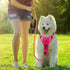 BARKBAY No Pull Dog Harness with ID Tag Pocket - Heavy Duty Reflective Control for Large Dogs (Pink, S)