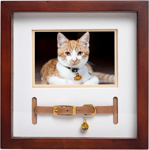 Pearhead Pet Collar Keepsake Frame, Dual Display Memorial for Cat & Dog Collars, 3" x 4.5" Photo Insert