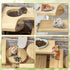 Niwaes Chinchilla Set 7 Pack Wooden Cage Platforms Wood Shelves for Rat Cage Corner Ledges Small Animal Climbing Steps