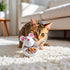 SquarezhenBo Mouse Shape Interactive Toys for Cats Toy,Play Cat Toy Pet Cat,Kitte Treat Holder Food Storage Dispenser
