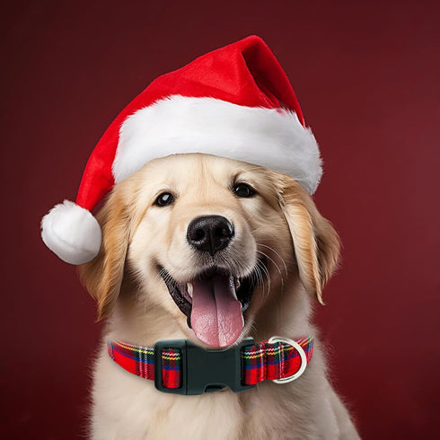 Christmas Plaid Dog Collar, Adjustable Red Collar for Boy and Girl Dogs with Strong Plastic Buckle, L