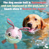 Rabbit Dog Toys Soccer Ball with Straps - Interactive Dog Balls for Medium Small Dogs