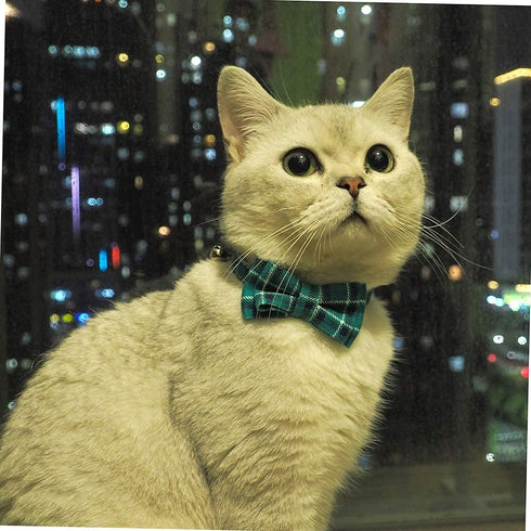 Cat Collar Breakaway with Bell and Bow Tie, Adjustable Plaid Design for Kittens, 6.8-10.8in, Cyan-Blue