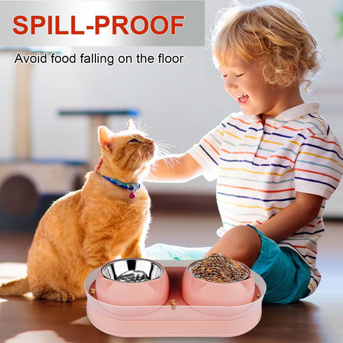 Elevated Cat Food Bowls, Raised Stainless Steel Bowl Set, Tilted Anti Vomiting Double Cat Food and Water Bowls